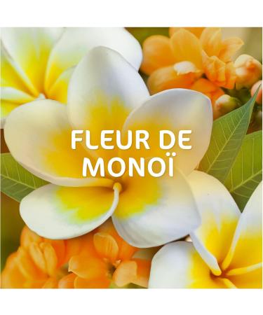 Dash 2-in-1 Pods Laundry Capsules 112 Washes (4 x 28 Tablets) Monoi Flowers Anti-Odour Protection Ultra Cleansing and Lon - Buy Online on GoSupps.com