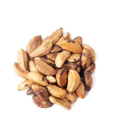 Dry Roasted Brazil Nuts with Himalayan Salt - 8 oz | Oven Roasted, Vegan, Keto-Friendly Snack - High Protein & Selenium | No Oil Added | Kosher - Bulk Pack of 1 - Buy Online on GoSupps.com