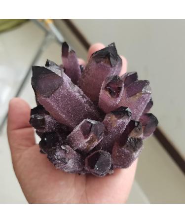for 900g Natural Purple Ghost Phantom Quartz Crystal Cluster Rock Stones and Crystals Specimen Home 1pcs Crystal Cluster (Size : 700-800g) - Buy Online on GoSupps.com
