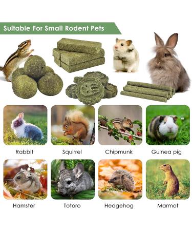 ERKOON 25Pcs Bunny Chew Toys - Natural Timothy Hay Treats Sticks for Rabbit, Chinchilla, Guinea Pig, Hamster, Gerbil, Squirrel - 8.5oz - Buy Online on GoSupps.com