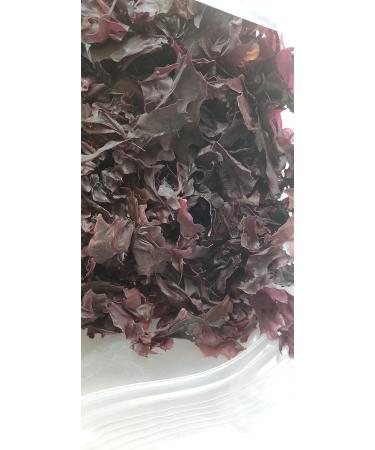 Atlantic Rhodymenia Palmata Dried Dulse Flakes 3.52 Ounce/100 g - Buy Online on GoSupps.com