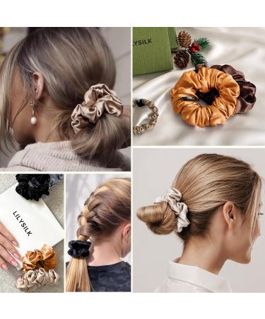 Lilysilk 100% Silk Hair Rings - Premium Ladies Ponytail Holders | 5 Pack in Taupe Black Coffee Caramel Chocolate | Soft & Durable Hair Ties - Buy Online on GoSupps.com