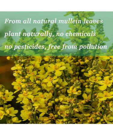 Mullein Drops for Lungs - Immune Support Detox & Respiratory Aid | Non-GMO Gluten-Free 2 Fl Oz - Buy Online on GoSupps.com