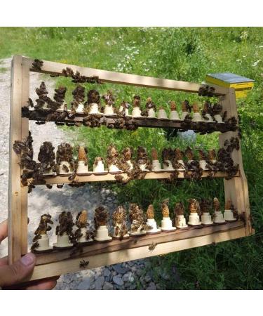 Premium Acacia Honey Sticks - Straight from the hive - Great Taste Pure and Natural Honey from Romania 20 portions x 12g 240g - Buy Online on GoSupps.com