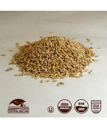 Organic Rye Berries - 100% Natural - 25 lbs - Pack of 1 - Buy Online on GoSupps.com