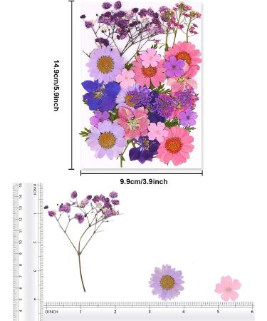 Dried Flowers for Resin Jewelry, Art Crafts, Scrapbooking - Natural Pressed Flowers for DIY Molds, Candles, Soaps, Nails Decor - Purple - Buy Online on GoSupps.com