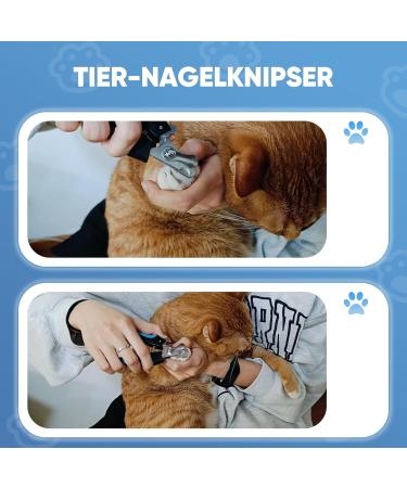 HOMJOY Professional Pet Nail Scissors & Files - Stainless Steel Nail Clippers for Dogs Cats Guinea Pigs - Safe & Durable Blue - Buy Online on GoSupps.com