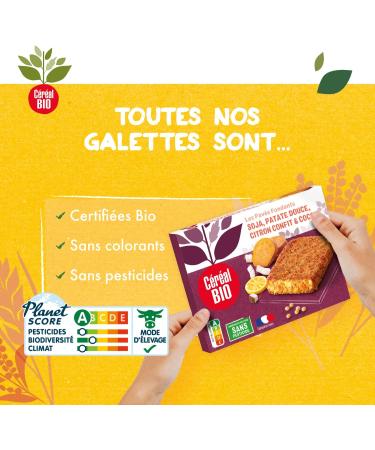 Organic Cereal Soft Sweet Potato Candied Lemon & Coconut Pav s - Vegan and Organic - Quick and Easy to Reheat - 200g (2 x 100g) - 211630 - Buy Online on GoSupps.com