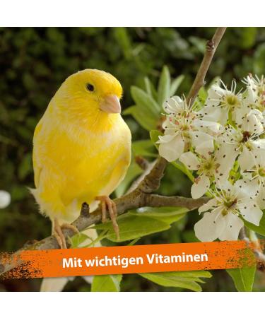 Ida Plus Mispusan Powder 200g - Mineral Feed with Vitamin D3 Calcium & Trace Elements for Amphibians Reptiles Birds Budgies Canaries & Parrots - Best Nutritional Supplement - Buy Online on GoSupps.com