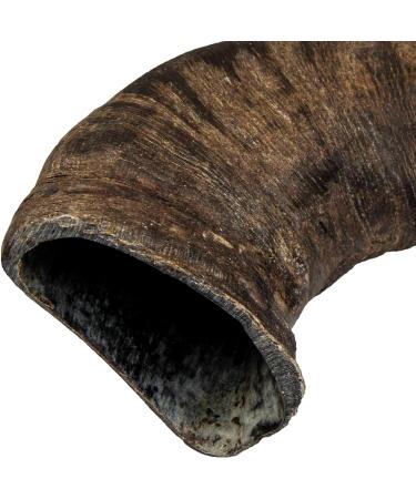 Buy TX-27743 Buffalo Chewing Horn Large - Natural Dog Chew | 1 Piece Pack - Durable & Healthy Treat - Buy Online on GoSupps.com