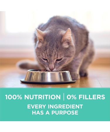 Purina ONE +Plus Dry Cat Food Sensitive Systems Turkey - 1.8 kg Bag 1.8 kg (Pack of 1) Cat Food - Buy Online on GoSupps.com