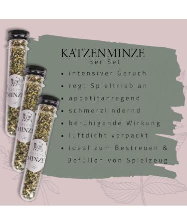 ne & no Gift Set with Natural Catnip | 3-Series Airtight Pack | Perfect Cat Toys Scratch Mats & Trees | Dried Cat Grass & Mint - Buy Online on GoSupps.com