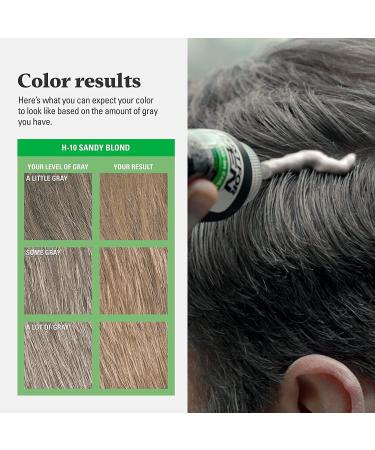 JUST FOR MEN Hair Color H-10 Sandy Blond - Premium Hair Dye for Men | Fast International Shipping - Buy Online on GoSupps.com