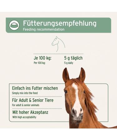 AniForte Active Devil's Claw Joint Powder for Horses 1kg - Devil's Claw Powder for Tendons and Ligaments Supports Mobility and Joint Function - Buy Online on GoSupps.com