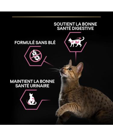 PURINA PRO PLAN | Sterilized Adult 1+ Delicate Digestion | Rich in Chicken | Dry Food | Cat | 10kg Bag - Buy Online on GoSupps.com