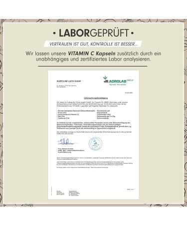 High-Dose Vitamin C Capsules - 730 Vegan 500mg Calcium Ascorbate - Lab-Tested Additive-Free Optimal Quality - Buy Online on GoSupps.com