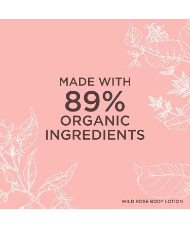 Wild Rose Body Lotion 200ml | COSMOS Certified | Hydrating & Nourishing Skin Care Shop Now! - Buy Online on GoSupps.com