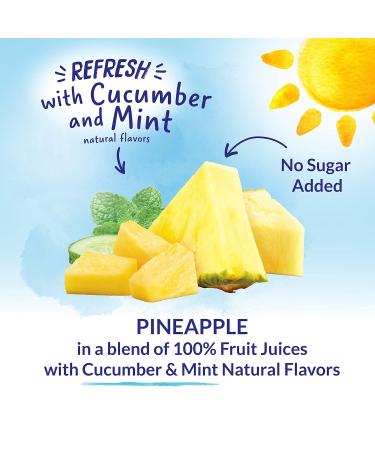 Dole Fruit Bowl Essentials Pineapple with Cucumber Mint 7oz Cups (Pack of 2) - 12 Total Cups, No Added Sugar - Buy Online on GoSupps.com