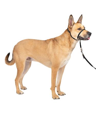 PetSafe Gentle Leader Headcollar, No-Pull Dog Collar  Perfect for Leash & Harness Training Black Medium Headcollar
