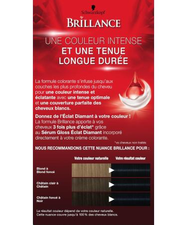 Schwarzkopf Brillance Hair Color 891 Noir Bleut - Intense Shine & Rich Color | Shop Internationally - Buy Online on GoSupps.com