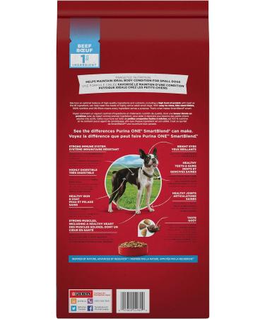 Purina ONE +Plus Small Breed Dry Dog Food with Beef - 1.81 kg Bag 1.81 kg (Pack of 1) - Buy Online on GoSupps.com