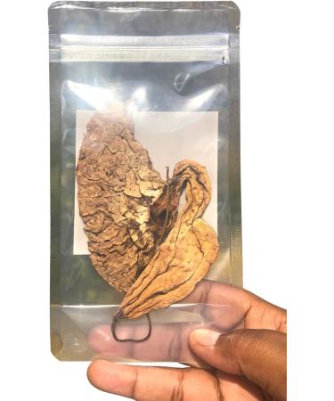 Jamaican Duck Flower Detox - Flor de Pato 1 pcs Palo Guaco Alkaline Herbal Cleanse - Buy Online on GoSupps.com