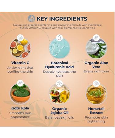 Vitamin C Serum for Face with Hyaluronic Acid Best Anti Aging Serum on Face Skin Eye - Vegan Amino Complex - Natural & Organic - Anti Wrinkle Fine Lines Fades Age Spots - 30ml by Foxbrim - Buy Online on GoSupps.com