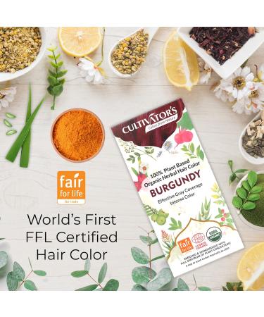 Cultivator's Organic Herbal Hair Colour - Burgundy 100g - Buy Online on GoSupps.com