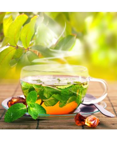 Zyanna Peppermint Tea - Premium Black Tea Infused with Peppermint Leaves - 100g/50 Cups - Natural Ingredients for Refreshing and Relaxing Flavour - Buy Online on GoSupps.com