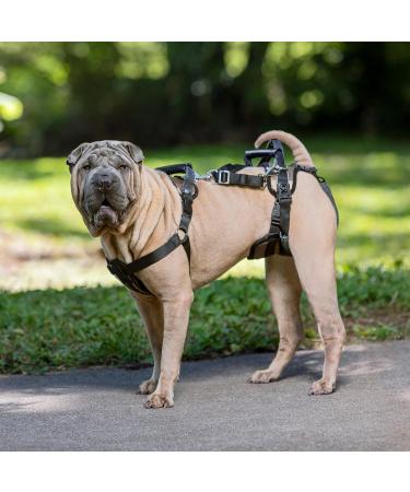 PetSafe CareLift Lifting Harness for Dogs - Size M | Support & Mobility Aid for Easy Lifting In and Out - Buy Online on GoSupps.com