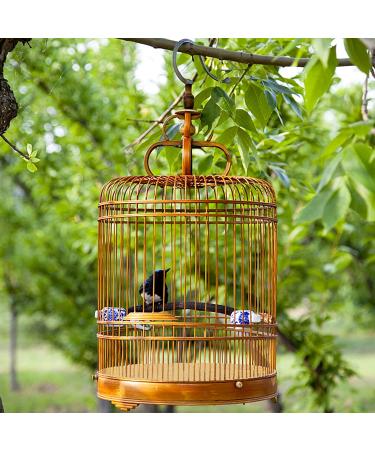 RoyJackson 40pc Disposable Gravel Liner Paper 17x11 inch for Bird Cage - Clean Fecal Tray Paper for Hard-Billed Birds, Pet Cages - Cushion and Protection - Buy Online on GoSupps.com