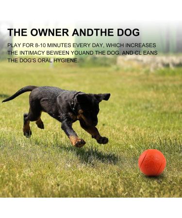 Buy Mekeet Dog Ball Snackball Non-Toxic Rubber Treats Toy for Dogs | IQ Training Ball (Orange) - International Shipping Available - Buy Online on GoSupps.com