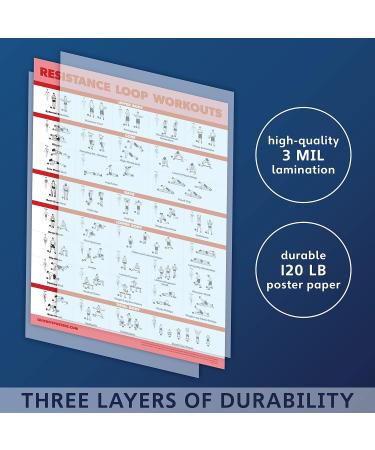 Resistance Bands & Loops Workout Posters 2 Pack - Laminated Exercise Charts - Light 18x24 - Buy Online on GoSupps.com