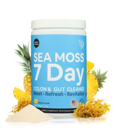 Atlantic Naturals Sea Moss Digestive Support Drink Mix - 7 Day Program with Psyllium Husk Flaxseed and MSM - Pineapple Flavor (14 oz)