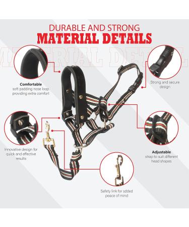 Alpha Boy Dog Training Collar | Comfortable & Gentle Handlebars for All Breeds | Real Leather Medium Harness with Quick Lock Buckle - Easy to Use - Buy Online on GoSupps.com