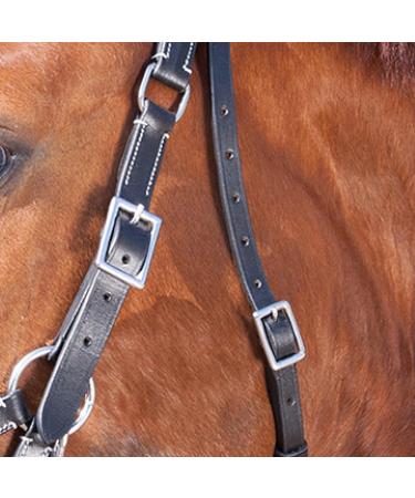 WALDHAUSEN Star Bitless Bridle for Warmbloods - Premium Black Horse Gear | Buy Internationally - Buy Online on GoSupps.com