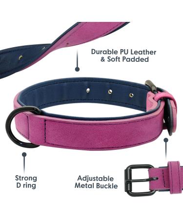 Didog Soft Padded Leather Dog Collar - Adjustable Durable Collar for Small to Large Dogs Purple - 33-40 cm - Buy Online on GoSupps.com
