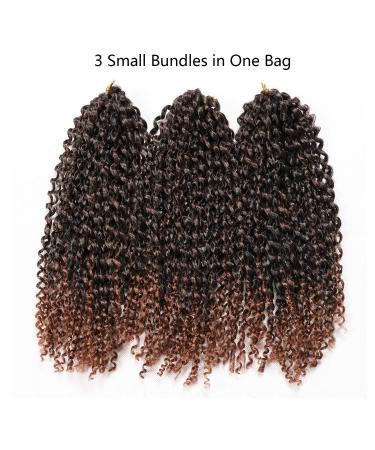 12 Inch Short Passion Twist Hair Marlybob Crochet Hair - 6 Bundles 12 Kinky Curly Crochet Hair for Black Women - Buy Online on GoSupps.com