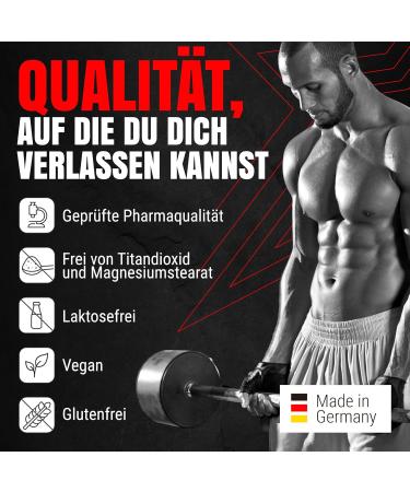 Powerstar Arginine 500g - High Dose Vegan L-Arginine Powder | IFS Certified German Quality | 100% Sugar-Free Nutrient Supply with Cranberry - Buy Online on GoSupps.com