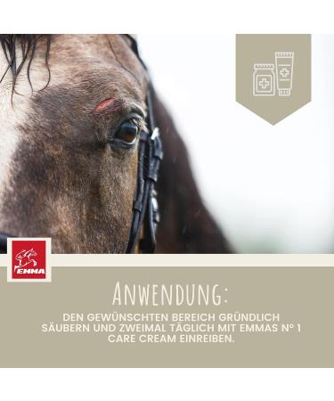 First Aid Set for Horses - Silver Spray & Zinc Ointment for Wound Healing Protection & Disinfection | 250ml & 200ml Options for Pets & Livestock - Buy Online on GoSupps.com