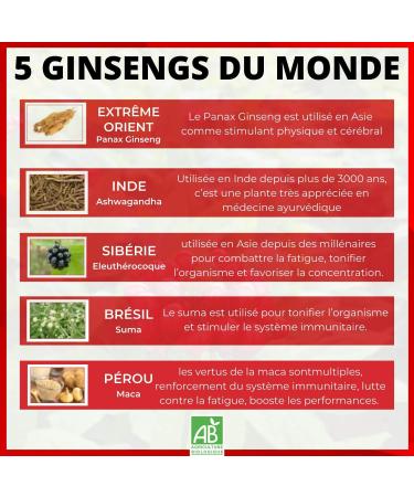 NUTRIG E - Ginseng 5 Strong - Fitness & Vitality - Reduces Fatigue Strengthens Natural Defenses Fights Different Stresses - 1 to 2 Takes/Day - 60 Tablets - 30/60 Days - Made in France - Buy Online on GoSupps.com