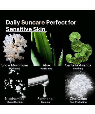 Koolsol by Knours Ultra-Light Invisible Sunscreen Bundle with Mineral Sunscreen Broad Spectrum SPF 50 Moisturizing for All Skin Types Korean Innovation 50ml/1.69 fl. oz. 2Pack - Buy Online on GoSupps.com