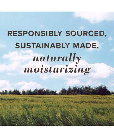 Burt's Bees 100% natural origin Moisturizing Lip Butter with Wild Rose and Berry 11.3 Grams - Buy Online on GoSupps.com