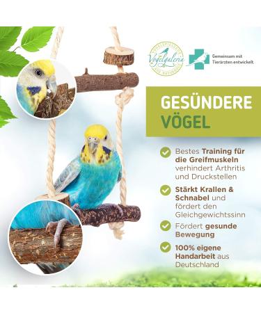 9-Piece Bird Cage Accessory Set for Budgies & Small Birds | Ideal for Species-Appropriate Care - Buy Online on GoSupps.com