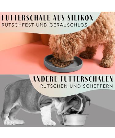 NE & NO Food Bowl for Small Dogs & Puppies - Silicone Wide Design for Dry & Wet Food - Travel & Camping Bowl (Steel Blue) - Buy Online on GoSupps.com