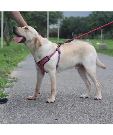 Suredoo Adjustable Dog Harness for Small & Medium Dogs | No Pull Reflective Safety Harness for Puppies - Soft & Comfortable (Small Pink) - Buy Online on GoSupps.com