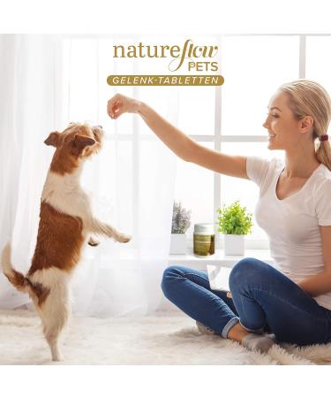 Journey Tablets for Dogs - Made in Germany with Green Lip Shell MSM & Devil Claw - Joint Health - 100 Count - Buy Online on GoSupps.com