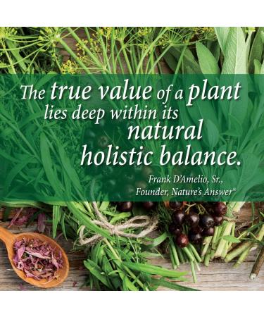 Nature's Answer Cleavers Herb Extract - 1oz | Alcohol-Free for Overall Wellbeing | Dietary Supplement - Buy Online on GoSupps.com