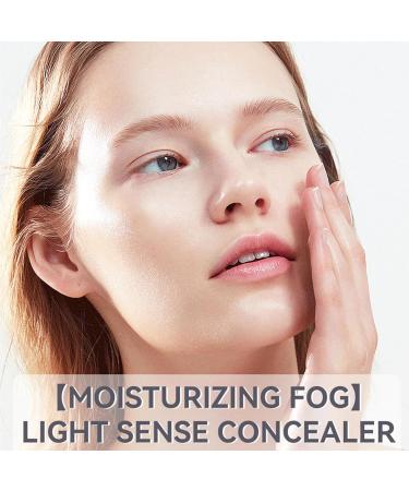 LXZJJM 3-in-1 Soft Skin Foundation for Mature Skin Portable Liquid Foundation with Concealer Brush Seamless Finish Ideal Foundation Makeup for Women (01#Brightening skin tone 8 g) 8 g (Pack of 1) 01#brightening Skin Tone - Buy Online on GoSupps.com