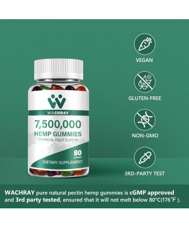 Hemp Gummies | Organic High Potency Edible Hemp Oil Supplement | USA Made Sugar-Free Fruit Flavor for Adults - Buy Online on GoSupps.com